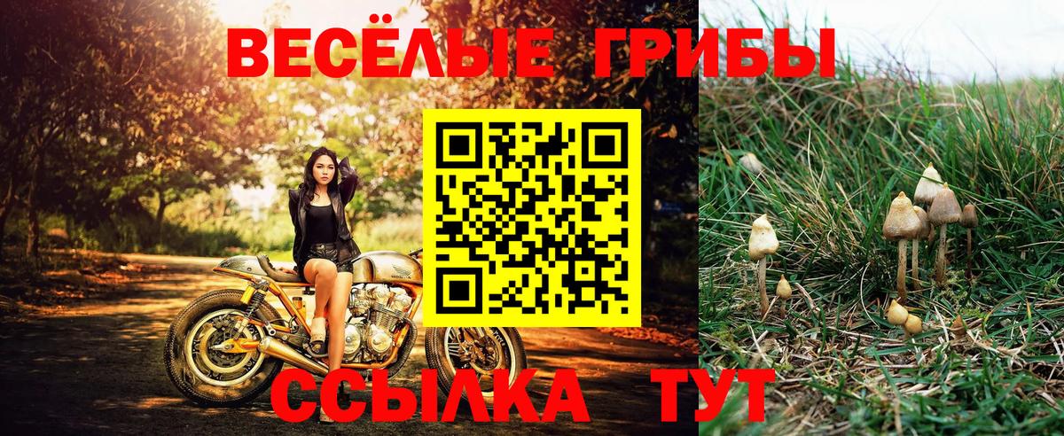 Галлюциногенные грибы ЛСД  Вход с VPN  Галлюциногенные грибы Psilocybe  купить наркотики сайты  Альметьевск 